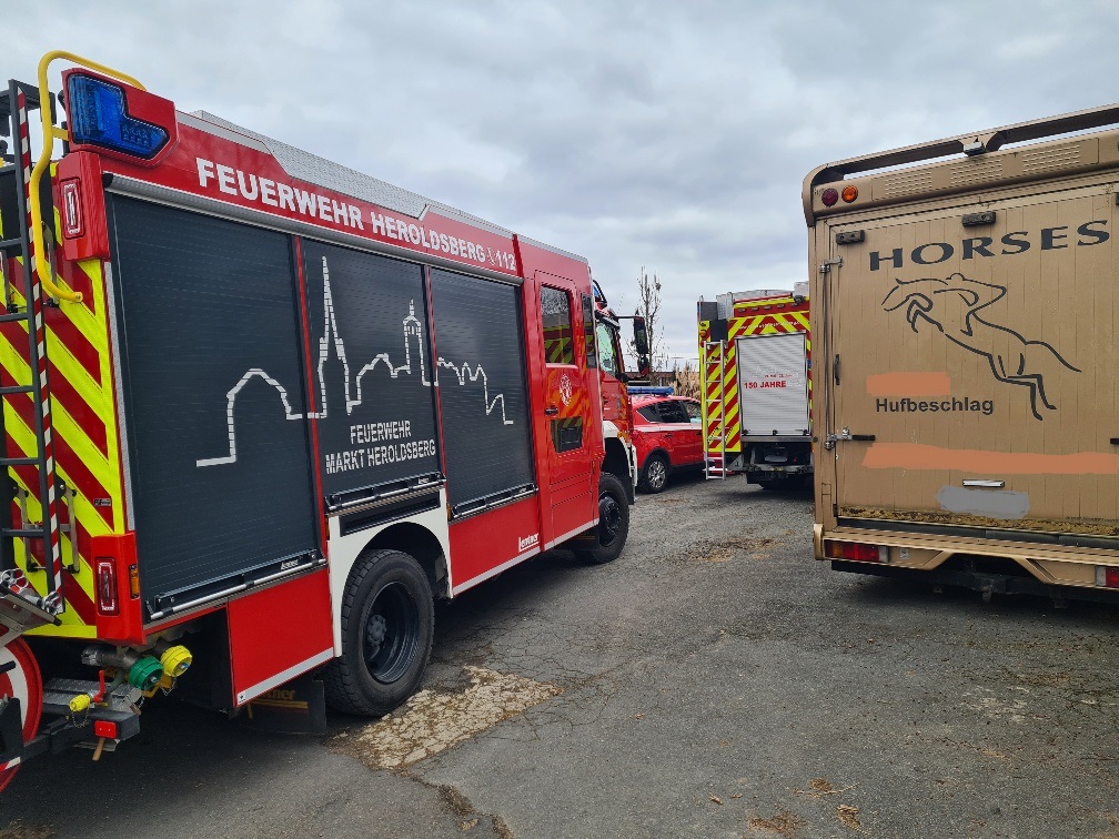 20250206_154057_resized bearbeitet.jpg